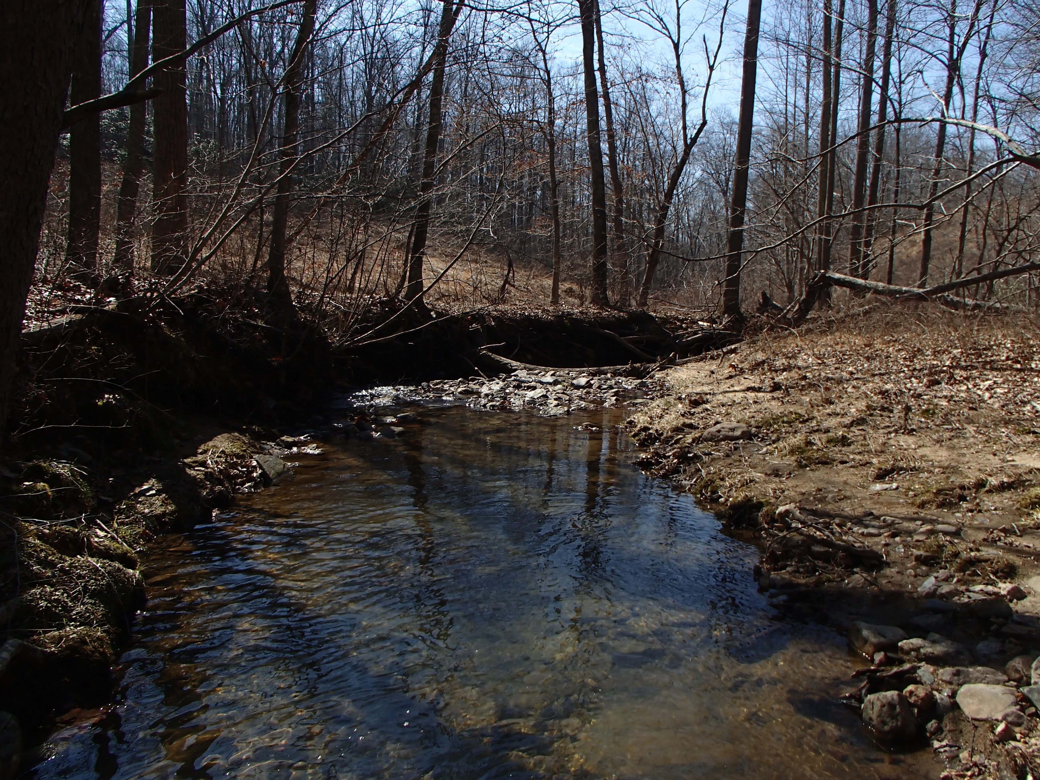 Field photo showing stream conditions at site RKGR-101-R-2016_midpoint looking downstream